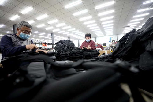 河北隆堯 壯大集體經(jīng)濟(jì) 助力鄉(xiāng)村振興